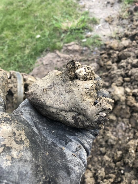 Hand i grå arbetshandske som håller en stor jordig sten, med gräsmatta och jordhög i bakgrunden.