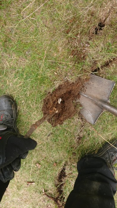 Person med spade gräver i marken, visar uppgrävd jord och gräs.