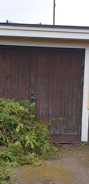 Gamla slitna slagdörrar till garage med ventilationsspringor och grönska framför.