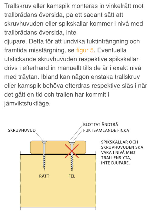 Illustration som jämför rätt och fel sätt att montera skruv i trall, med skruvhuvud i nivå respektive för djupt.