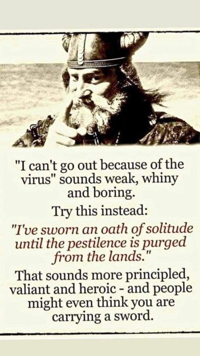 En illustration av en viking med text som ger alternativa sätt att uttrycka sig om att stanna hemma under en pandemi.