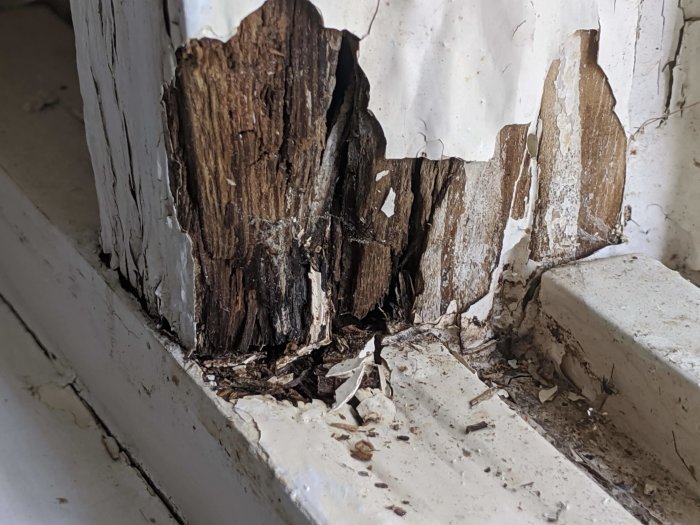 Rotten corner of a window frame with peeling white paint, indicating water damage in a wet room.