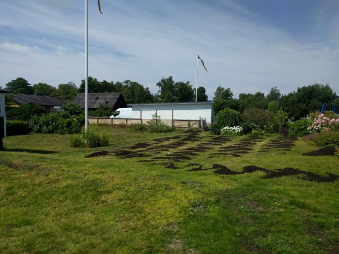 Gräsmatta med utspridd kompost i högar under en solig himmel, nära en flaggstång med svensk flagga.