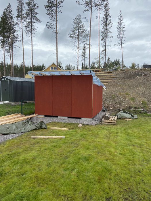 Nyligen uppfört rödmålat förråd med takstolar, plast, läkt, omgiven av gräs och byggmaterial på marken.