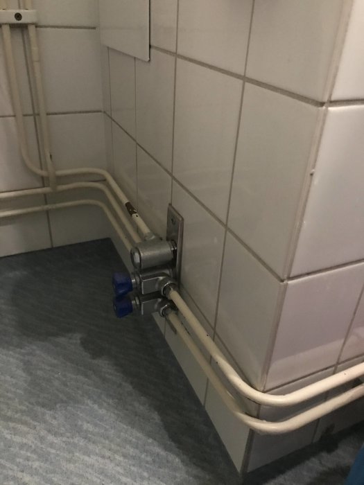 Synlig kran och exponerade rör längs en kaklad vägg ovanför mattan, nära en dörrkant.