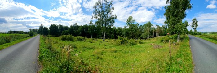 Panoramabild av en öppen tomt med gräs och buskage, omgivet av träd, intill en landsväg under blå himmel.