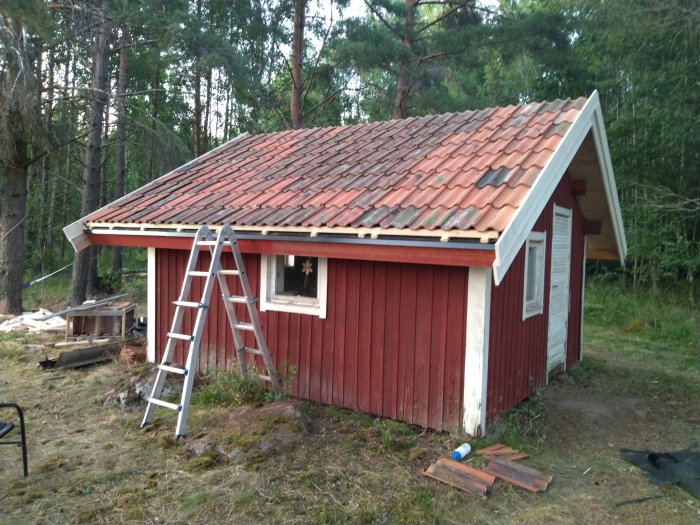 Rödmålat timmerhus under renovering med nytt tak inklusive tegelpannor, stege lutad mot väggen.