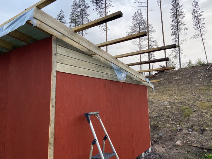 Konstruktion av takutsprång på röd träbyggnad med skog i bakgrunden och stege i förgrunden.