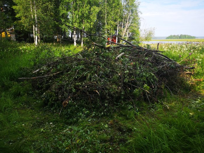 Stor hög med grenar och rishög vid flodkanten efter trädarbete med handverktyg.