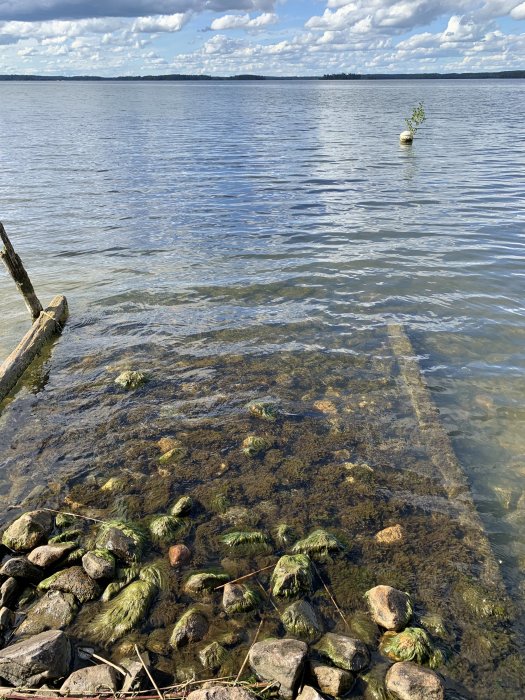 Delvis nedsänkt, algbevuxen stenkista vid Mälarens strand med grannens pålade brygga i bakgrunden.