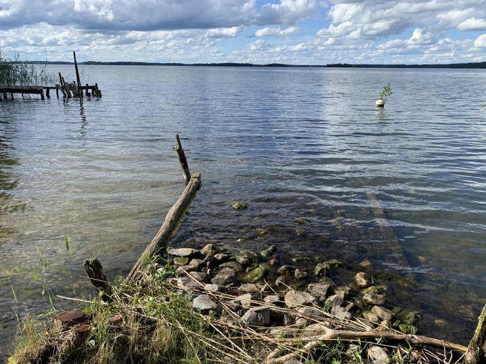 Skadad träbrygga med pålar i Mälaren och en stenkista vid strandkanten, mot en bakgrund av öppet vatten och molnig himmel.