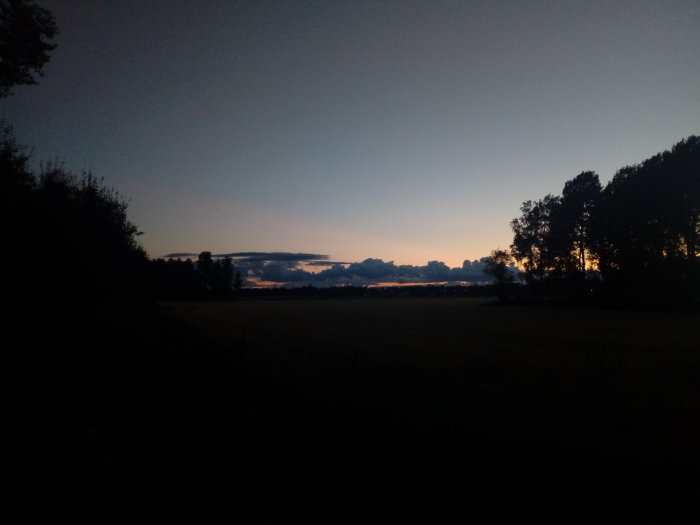 Kvällshimmel med silhuetter av träd och moln vid skymning över ett öppet fält.