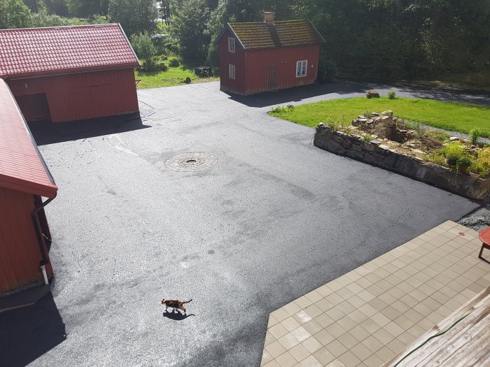 Asfalterad uppfart framför röd stuga, garage och grön omgivning med en hund på gården.