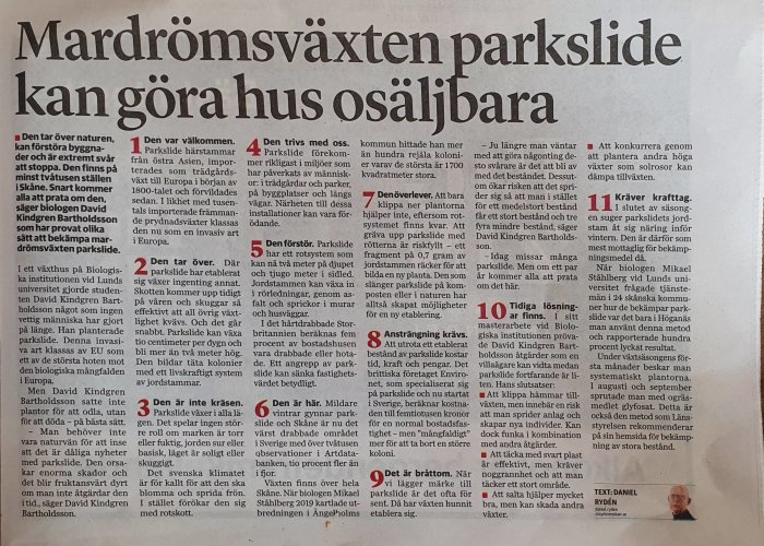 Bild av en tidningsartikel med rubriken "Mardrömsväxten parkslide kan göra hus osäljbara" och brödtext som diskuterar växtens påverkan.