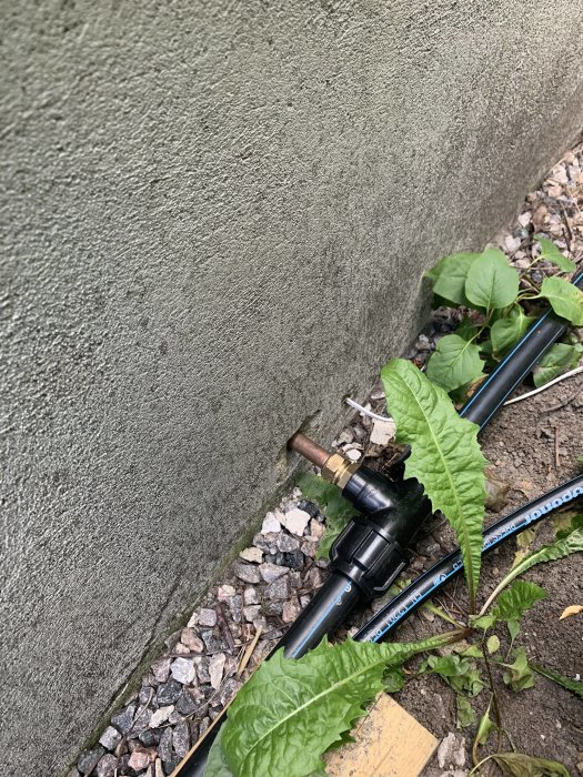 Installation av droppbevattningssystem längs en husvägg med synliga slangar och kopplingar.