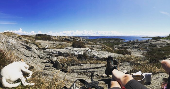 Panoramavy över bergigt kustlandskap med vandrare som vilar nära vit hund, med fokus på ben och termoskoppar.