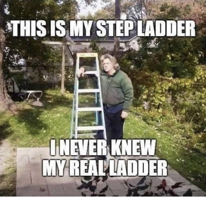 Person står bredvid en stege i en trädgård med ordskämtet "This is my step ladder. I never knew my real ladder.