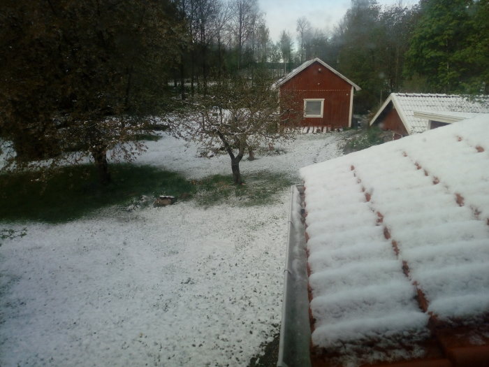 Trädgård med lätt snötäcke, ett rött trädgårdsskjul och ett tak i förgrunden.