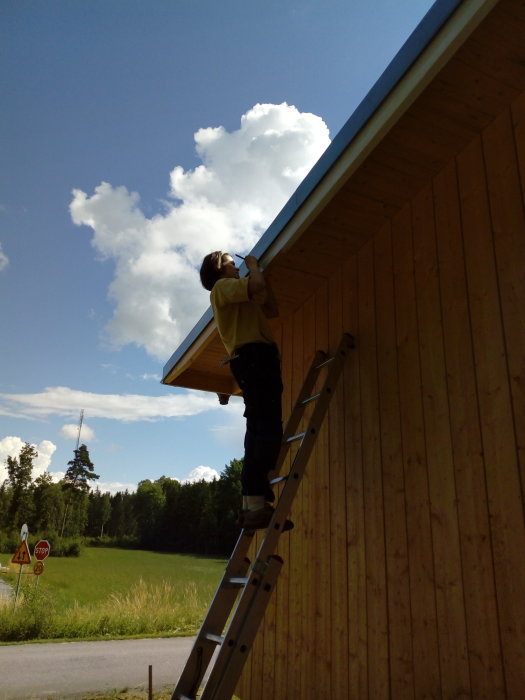 Person på stege arbetar med takkanten på ett hus med träpanel.