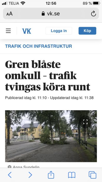 Nedblåst gren blockerar en väg i ett bostadsområde med gula hus, grönska och ett vägarbete-skylt.