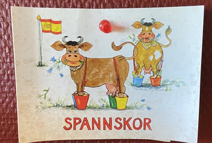 Illustration av två kor med blomkrukor på fötterna och texten "SPÄNNSKOR".