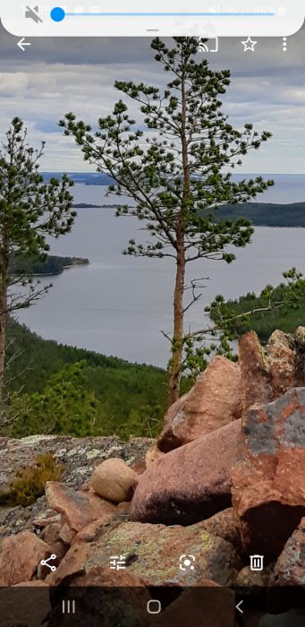 Utsikt från Mjältöns topp med tallar och en sjö i bakgrunden, klippor i förgrunden.