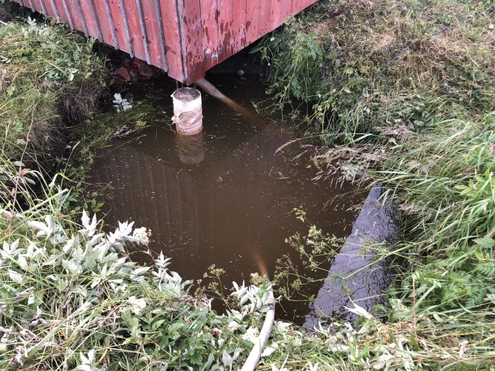 Vattenfyllt hål vid husgrund med rör och omgivande vegetation.