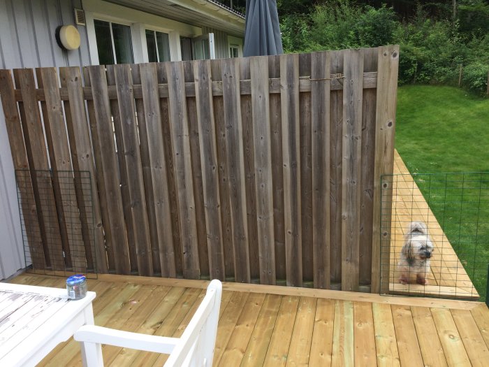 Nybyggd träterrass med lodrät plankvägg och grannskapsstaket, hund synlig bakom staketet.