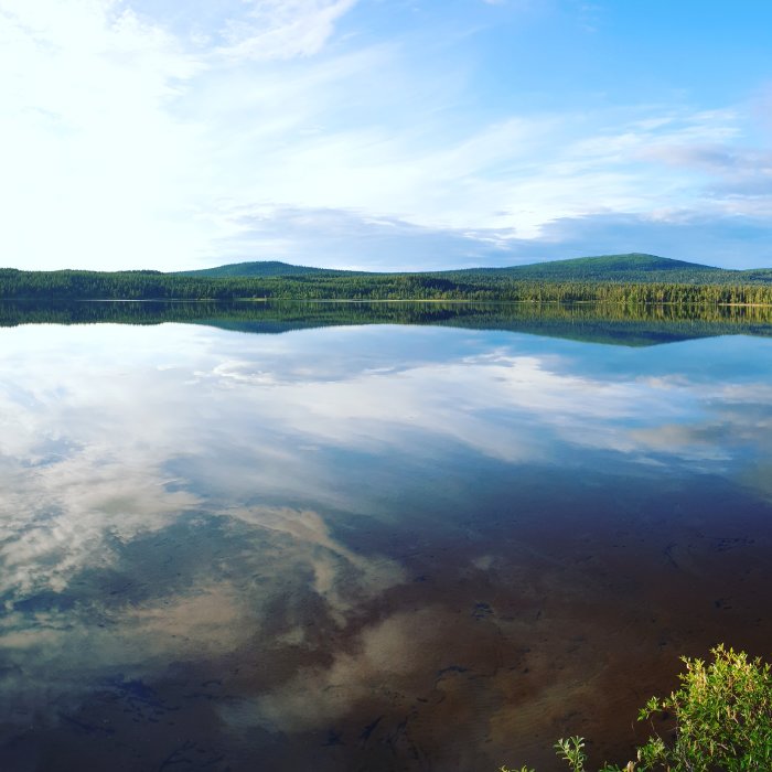 Speglad skog och himmel i klar sjö i låglandet nära Kvikkjokk.