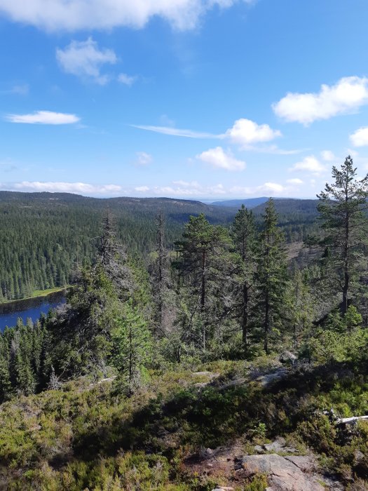 Utsikt över skogklädda kullar och en sjö i Skuleskogen med Ulvöarna i horisonten.