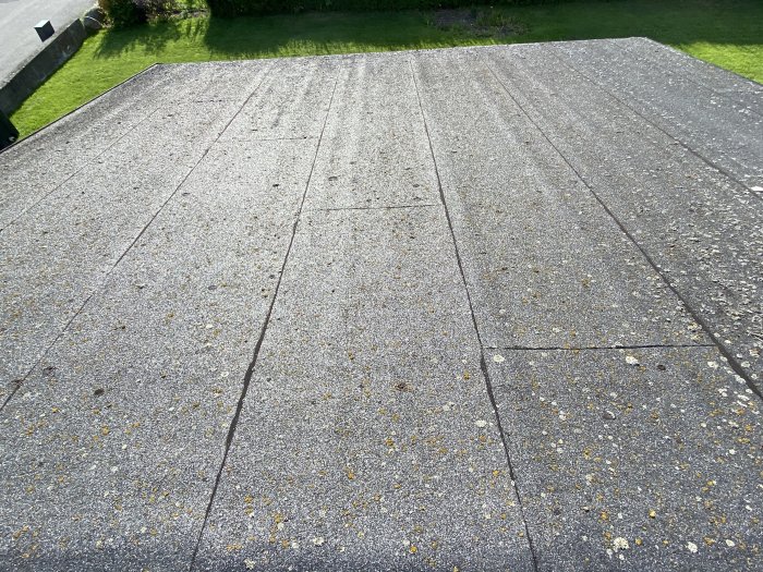 Asfalterad uppfart med gula blomblad utspridda på ytan i ett soligt bostadsområde.