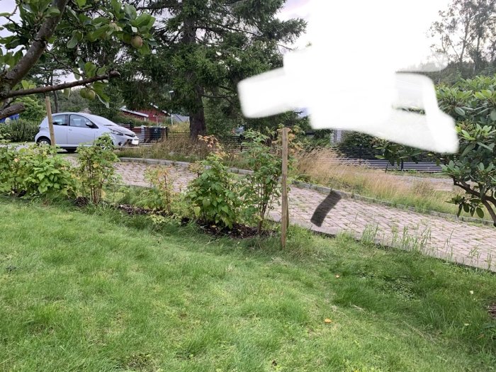 Grönskande trädgård med uppfart markerad med svart streck, lutande mot garage i bakgrunden.