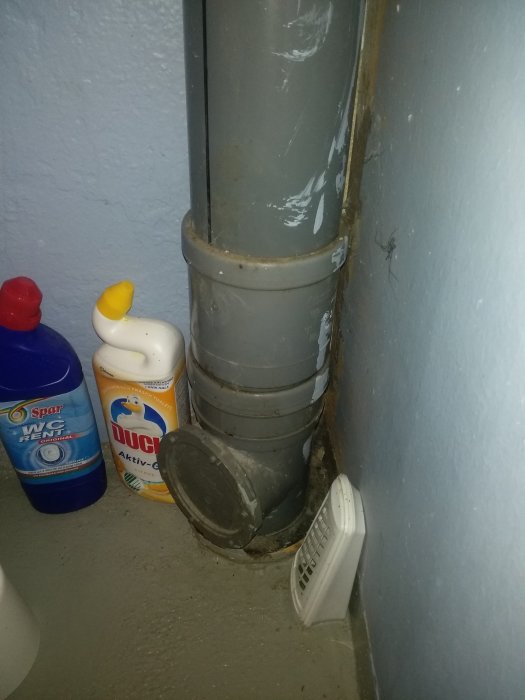 Avloppsrör i en källartoalett, städprodukter bredvid, möjlig källa till luktproblem.