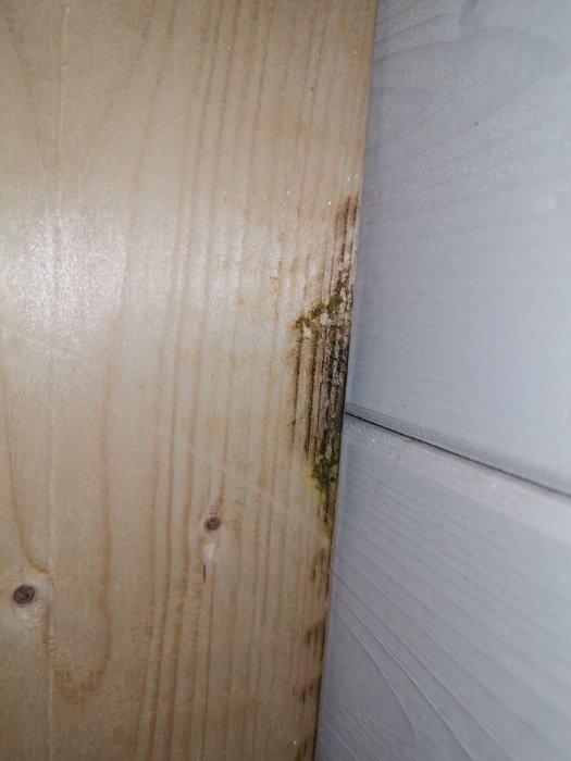 Missfärgning och mögeltillväxt på träbjälke i vindsutrymme, eventuell indikation på fuktskada.