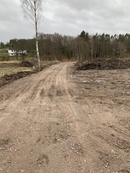 Nygrävd infart genom skogsområde för framtida garage/verkstad, markering med pinnar synlig.