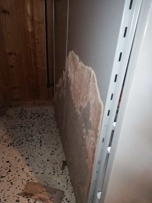 Mögel och fuktskador på träpanel där ett plåtskåp stått i källare, med synliga skador och nedfallna bitar.