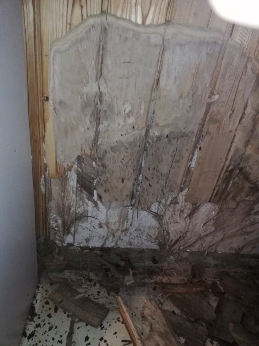 Mögelskador på träpanel där ett plåtskåp stått, med synliga svartmögelfläckar och nedbruten träpanel.