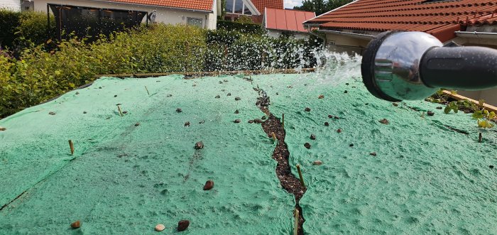 Vattning av en nyetablerad, fröbärande vegetation på ett grönt tak med stenar och plantor.