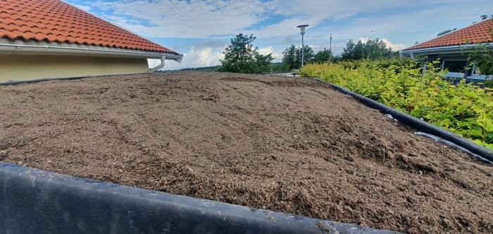 Nybyggt cykelförråds gröna tak i anläggningsfasen med jordlager och EPDM-membran, bakom syns ett bostadshus.