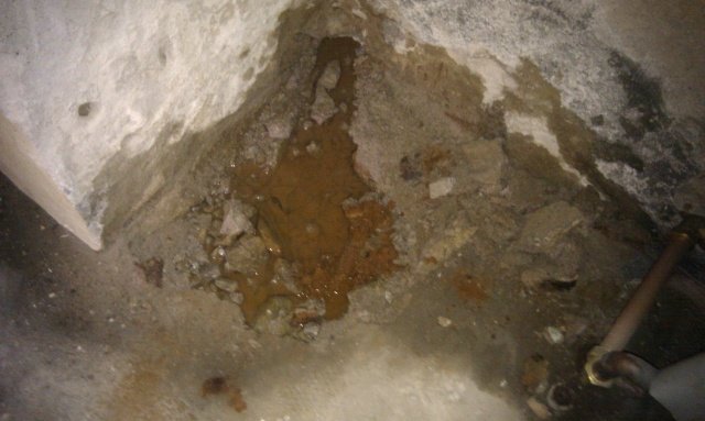 IMAG0176.jpg
