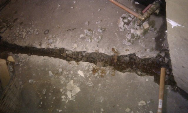 IMAG0177.jpg