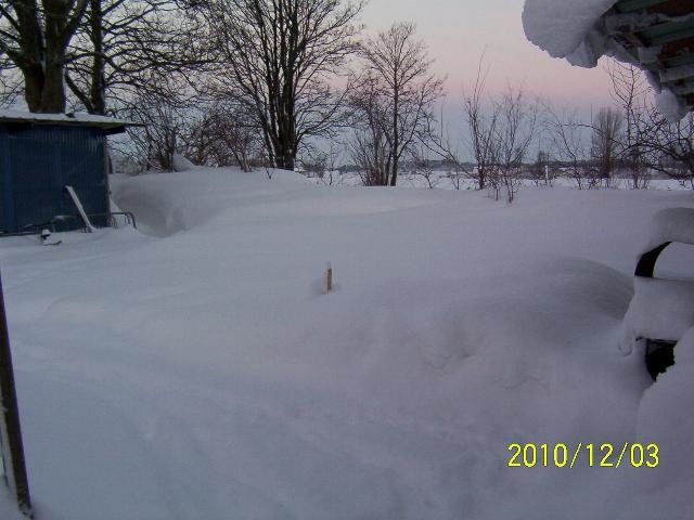 100_1579.jpg