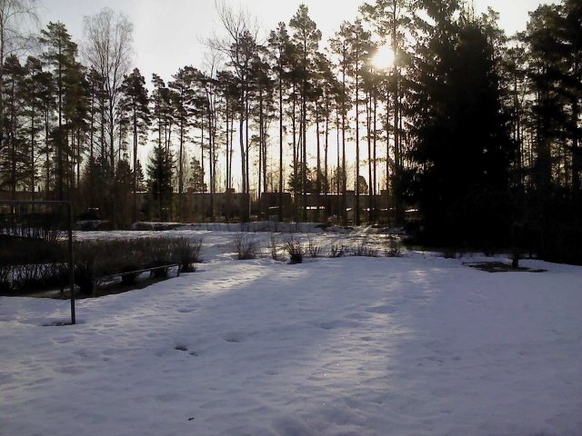 DSC00044.jpg