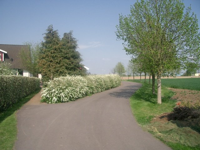 CIMG1315.jpg