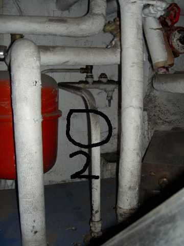 Ror2.JPG