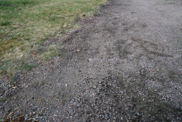 bild1.jpg