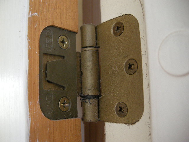 DSCN5411.JPG
