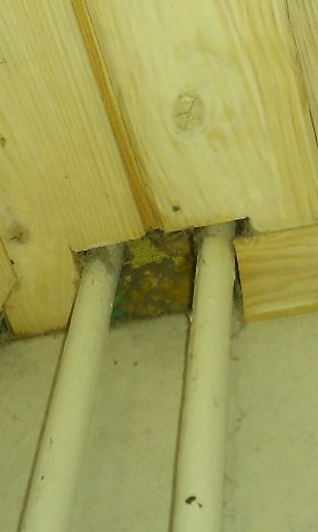IMAG0153.jpg
