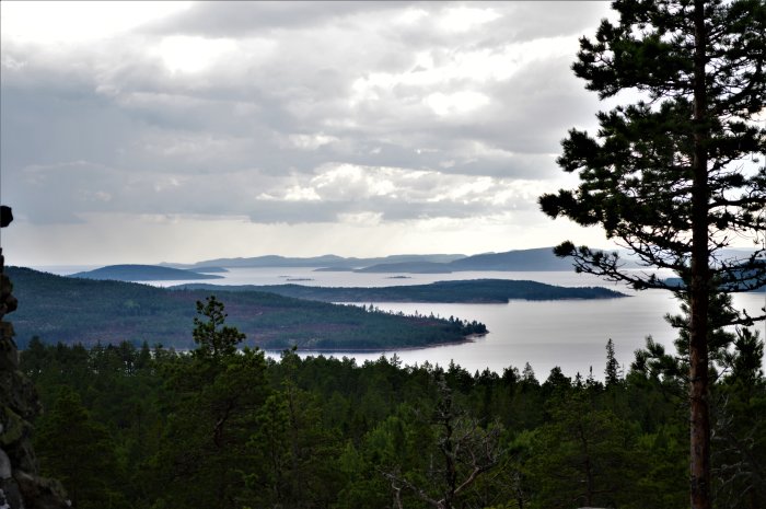 Vy över skog och hav i Höga Kusten under molnigt himmel.