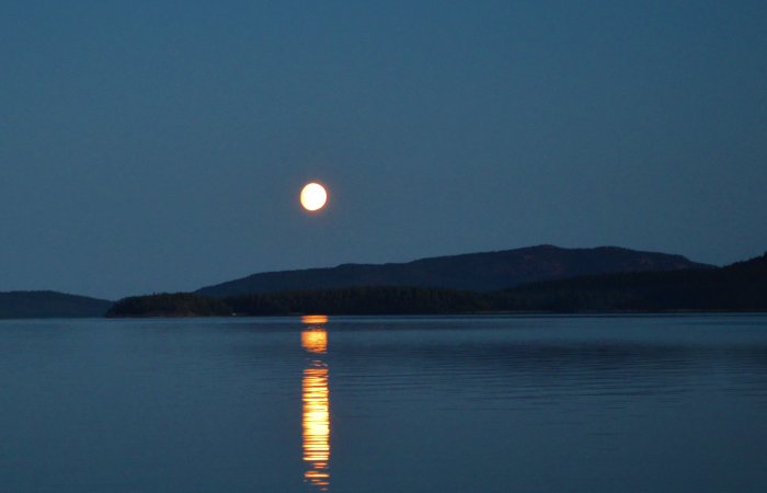 Fullmåne som speglas i vattnet över Mjältön i Höga Kusten under skymningen.